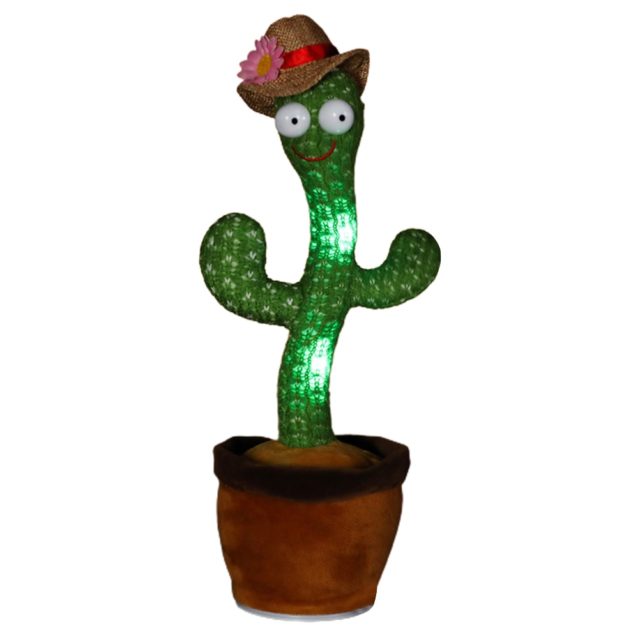 dancing cactus in pot